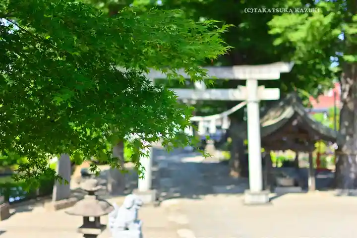 瀧宮神社(埼玉県)