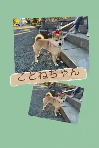 豊景神社(福島県)