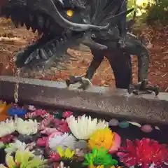 下野 星宮神社の手水