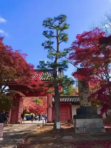 真正極楽寺（真如堂）(京都府)