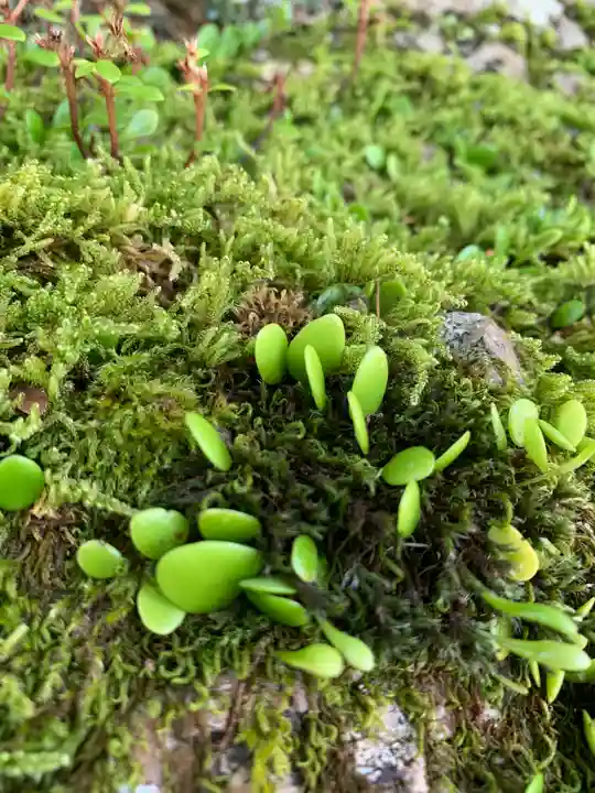 白瀧神社(群馬県)