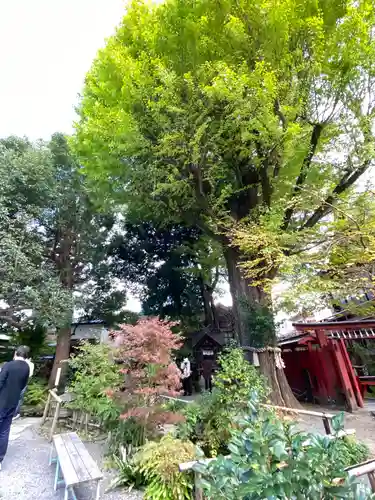 秩父神社の庭園