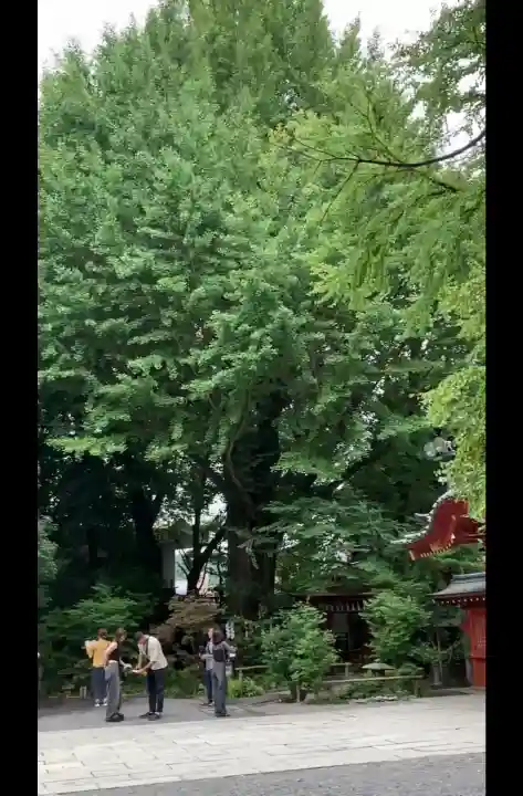 秩父神社(埼玉県)