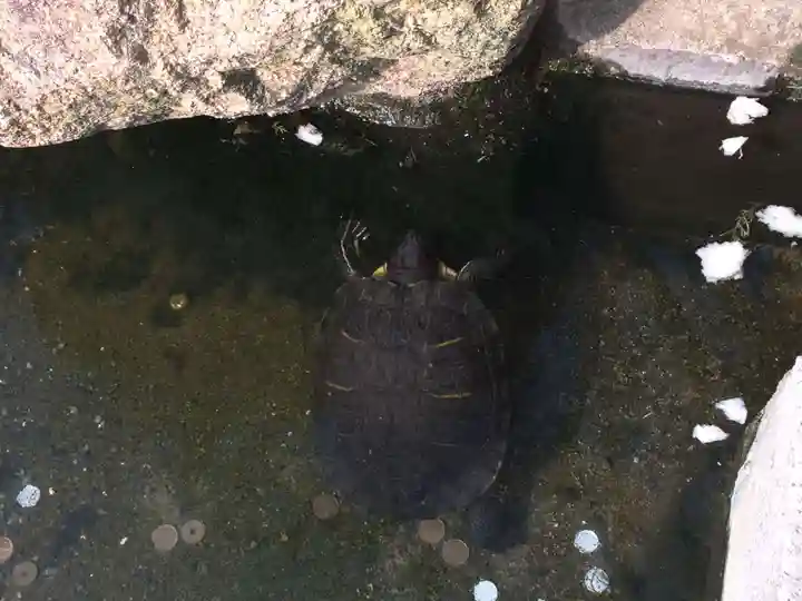 お亀明神社(山口県)