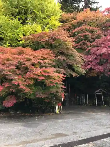 水澤寺(水澤観世音)の自然
