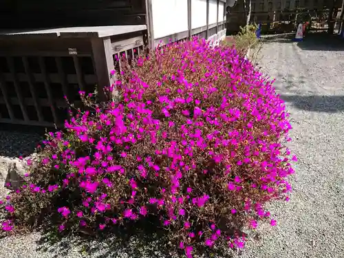 實相寺（実相寺）の自然