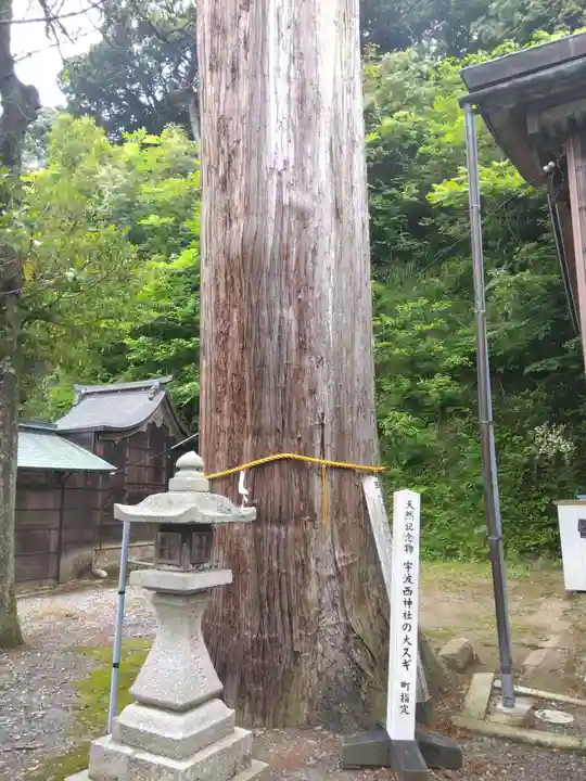 宇波西神社(福井県)