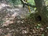 筑波山神社 女体山御本殿(茨城県)