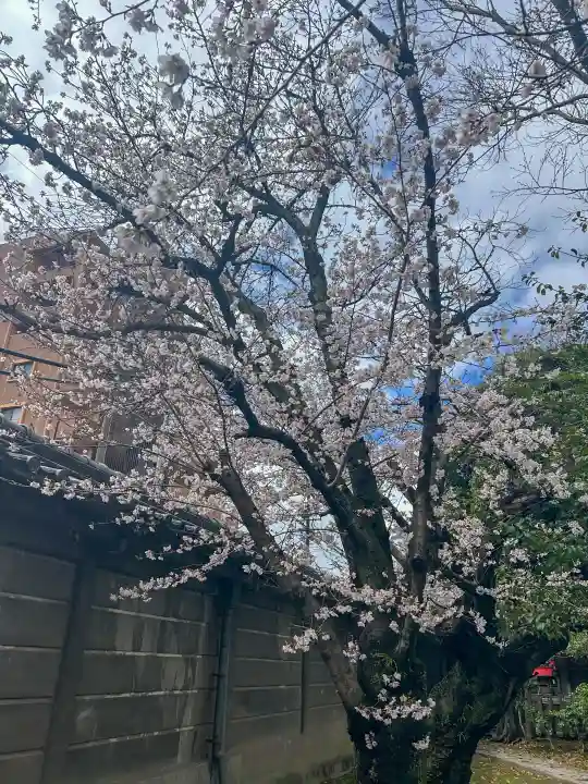 真清田神社の{uncategorized: "未分類", other: "その他", undefined: "問題あり", building: "その他建物", grave: "お墓", sacred_gate: "鳥居", guardian: "狛犬", statue: "像", buddha: "仏像", history: "歴史", nature: "自然", garden: "庭園", animal: "動物", pagoda: "塔", temizu: "手水舎", mountain_gate: "山門・神門", sanctuary: "本殿・本堂", subordinate: "末社・摂社", art: "芸術", scenery: "景色", jizo: "地蔵", ema: "絵馬", goshuin: "御朱印", omikuji: "おみくじ", items: "授与品その他", amulet: "お守り", goshuincho: "御朱印帳", eats: "食事", festival: "お祭り", votive_dance: "神楽", shichigosan: "七五三参", wedding: "結婚式", experience: "体験その他", initially: "初詣", around: "周辺", anti_infection: "感染症対策"}