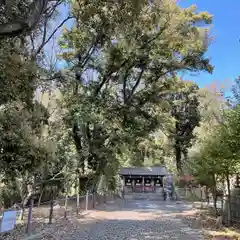 上宮天満宮の建物その他