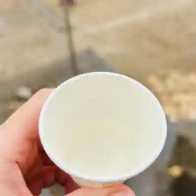 鎮守氷川神社(埼玉県)