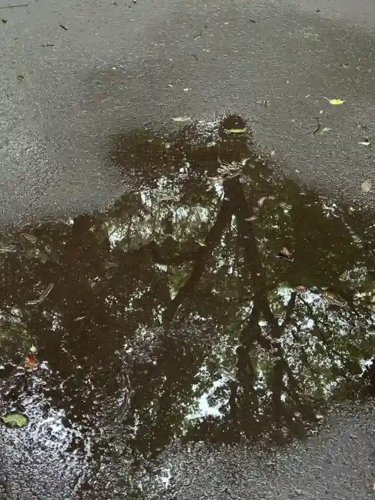 明治神宮(東京都)