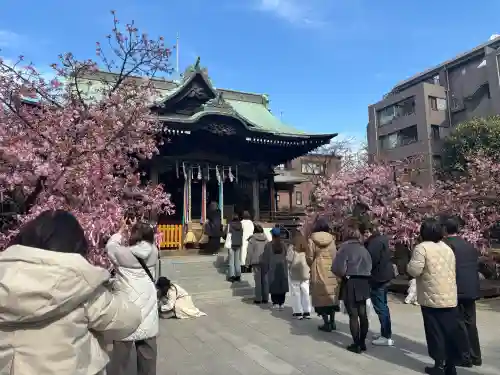 桜神宮の{uncategorized: "未分類", other: "その他", undefined: "問題あり", building: "その他建物", grave: "お墓", sacred_gate: "鳥居", guardian: "狛犬", statue: "像", buddha: "仏像", history: "歴史", nature: "自然", garden: "庭園", animal: "動物", pagoda: "塔", temizu: "手水舎", mountain_gate: "山門・神門", sanctuary: "本殿・本堂", subordinate: "末社・摂社", art: "芸術", scenery: "景色", jizo: "地蔵", ema: "絵馬", goshuin: "御朱印", omikuji: "おみくじ", items: "授与品その他", amulet: "お守り", goshuincho: "御朱印帳", eats: "食事", festival: "お祭り", votive_dance: "神楽", shichigosan: "七五三参", wedding: "結婚式", experience: "体験その他", initially: "初詣", around: "周辺", anti_infection: "感染症対策"}