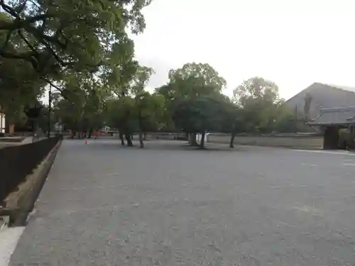 東寺（教王護国寺）(京都府)