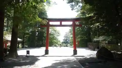 霧島神宮(鹿児島県)