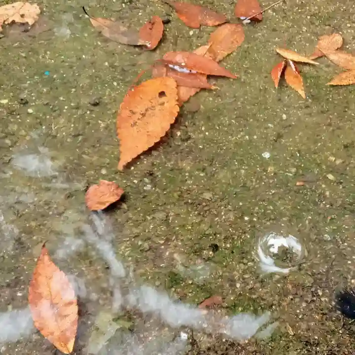 阿邪訶根神社の自然