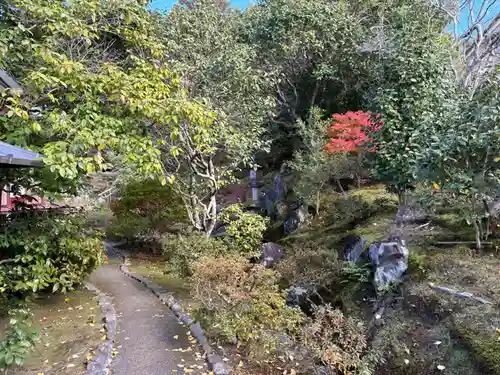 霊鑑寺門跡(京都府)