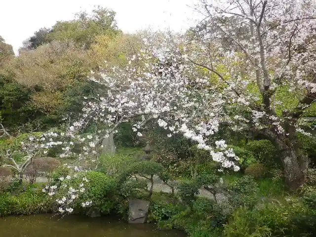 光明寺の庭園