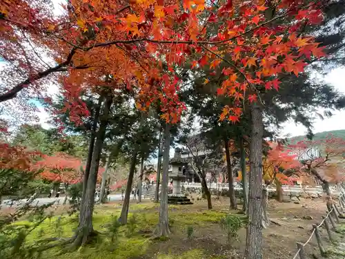 南禅院(京都府)