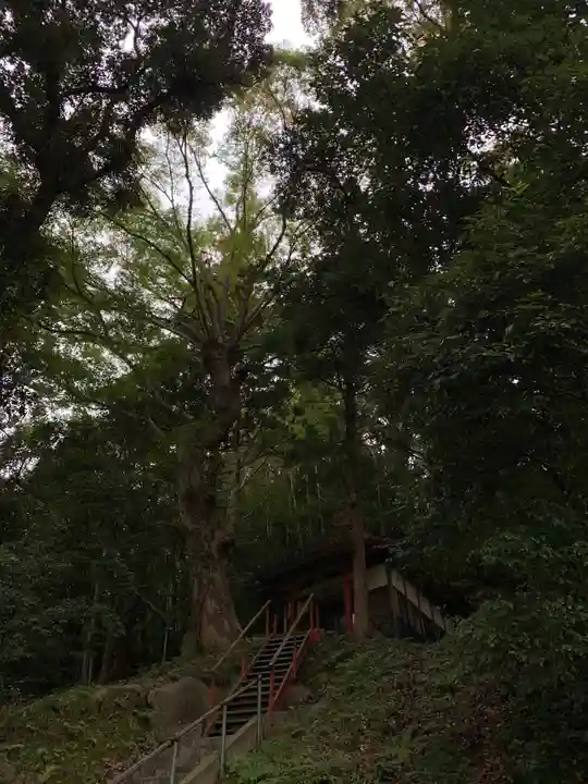 春日神社(千葉県)