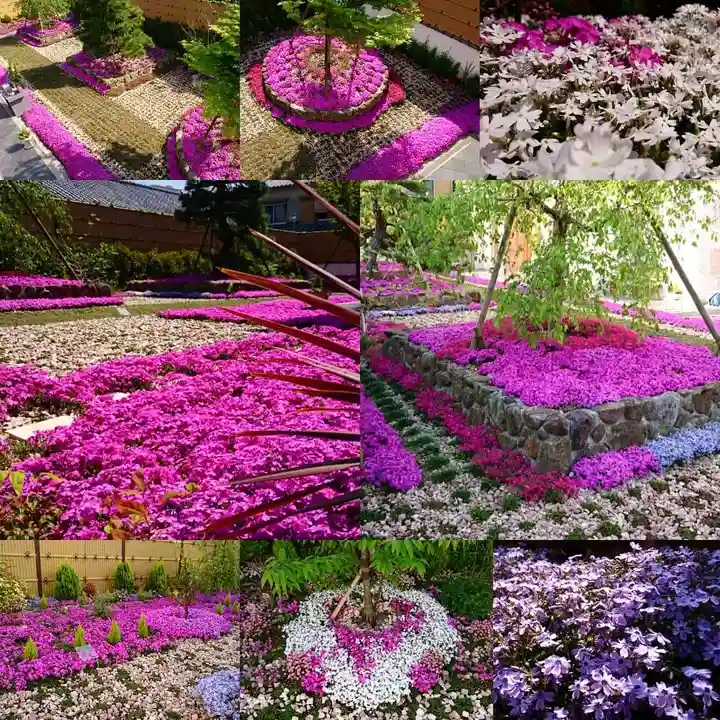 寿量山 速成寺の庭園