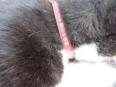 智恩寺(京都府)