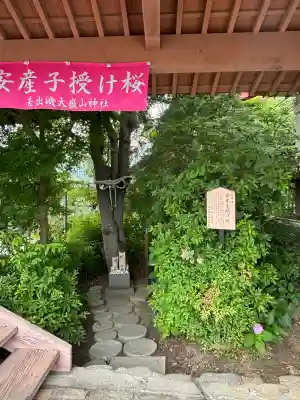 差出磯大嶽山神社 仕事と健康と厄よけの神さま(山梨県)