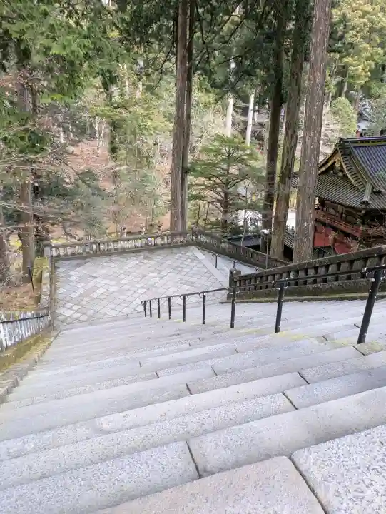 日光山輪王寺 大猷院の{uncategorized: "未分類", other: "その他", undefined: "問題あり", building: "その他建物", grave: "お墓", sacred_gate: "鳥居", guardian: "狛犬", statue: "像", buddha: "仏像", history: "歴史", nature: "自然", garden: "庭園", animal: "動物", pagoda: "塔", temizu: "手水舎", mountain_gate: "山門・神門", sanctuary: "本殿・本堂", subordinate: "末社・摂社", art: "芸術", scenery: "景色", jizo: "地蔵", ema: "絵馬", goshuin: "御朱印", omikuji: "おみくじ", items: "授与品その他", amulet: "お守り", goshuincho: "御朱印帳", eats: "食事", festival: "お祭り", votive_dance: "神楽", shichigosan: "七五三参", wedding: "結婚式", experience: "体験その他", initially: "初詣", around: "周辺", anti_infection: "感染症対策"}