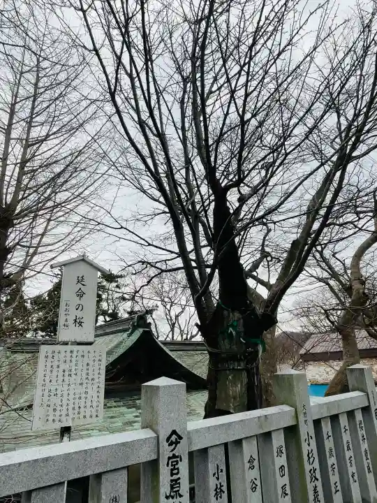 函館八幡宮の{uncategorized: "未分類", other: "その他", undefined: "問題あり", building: "その他建物", grave: "お墓", sacred_gate: "鳥居", guardian: "狛犬", statue: "像", buddha: "仏像", history: "歴史", nature: "自然", garden: "庭園", animal: "動物", pagoda: "塔", temizu: "手水舎", mountain_gate: "山門・神門", sanctuary: "本殿・本堂", subordinate: "末社・摂社", art: "芸術", scenery: "景色", jizo: "地蔵", ema: "絵馬", goshuin: "御朱印", omikuji: "おみくじ", items: "授与品その他", amulet: "お守り", goshuincho: "御朱印帳", eats: "食事", festival: "お祭り", votive_dance: "神楽", shichigosan: "七五三参", wedding: "結婚式", experience: "体験その他", initially: "初詣", around: "周辺", anti_infection: "感染症対策"}