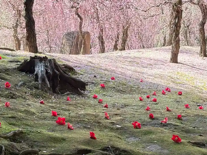 城南宮(京都府)