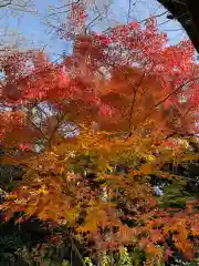 本土寺(千葉県)