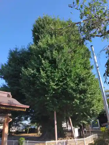 千葉寺(千葉県)