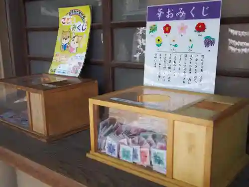 東郷神社のおみくじ