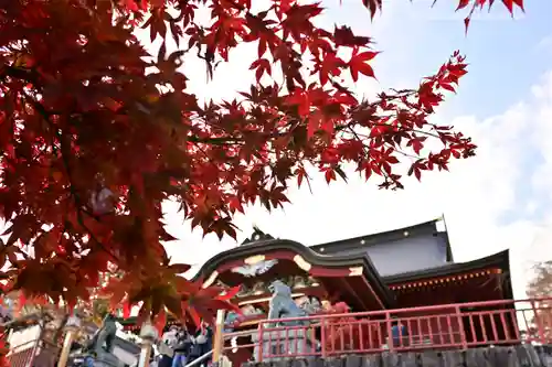 武蔵御嶽神社の本殿・本堂