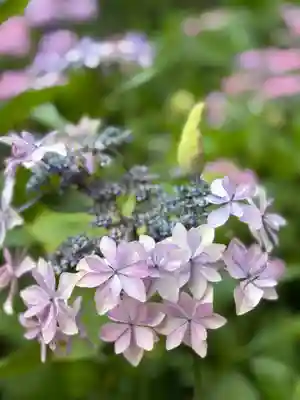二本松寺(茨城県)