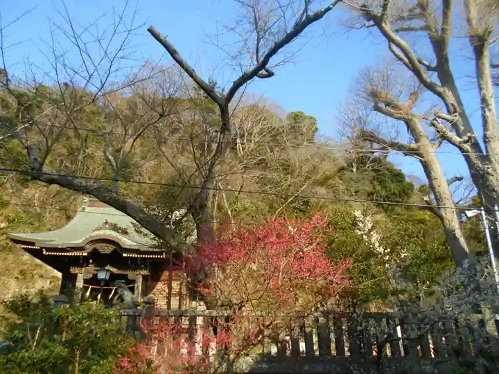 御霊神社のその他建物