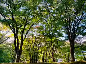 土津神社|こどもと出世の神さまの自然(2021年10月23日(土) 11時49分21秒投稿)