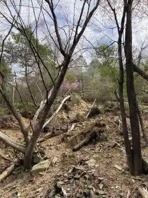 河上神社の自然