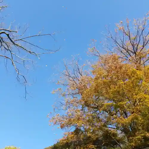 春日神社の自然