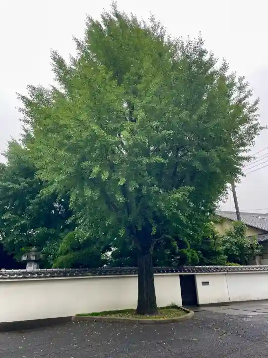 圓蔵寺(埼玉県)