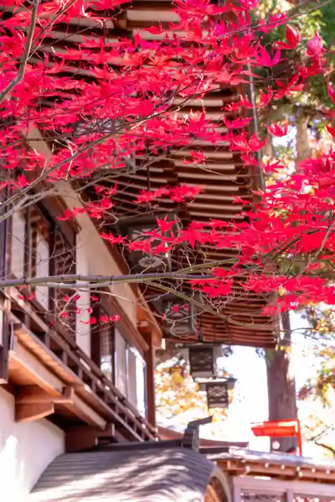 冨士山稲荷神社(長野県)