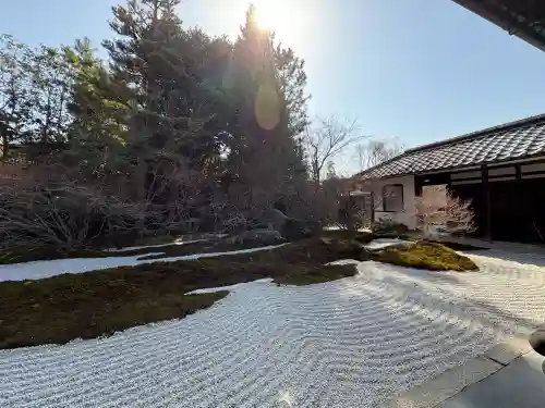 西来院の{uncategorized: "未分類", other: "その他", undefined: "問題あり", building: "その他建物", grave: "お墓", sacred_gate: "鳥居", guardian: "狛犬", statue: "像", buddha: "仏像", history: "歴史", nature: "自然", garden: "庭園", animal: "動物", pagoda: "塔", temizu: "手水舎", mountain_gate: "山門・神門", sanctuary: "本殿・本堂", subordinate: "末社・摂社", art: "芸術", scenery: "景色", jizo: "地蔵", ema: "絵馬", goshuin: "御朱印", omikuji: "おみくじ", items: "授与品その他", amulet: "お守り", goshuincho: "御朱印帳", eats: "食事", festival: "お祭り", votive_dance: "神楽", shichigosan: "七五三参", wedding: "結婚式", experience: "体験その他", initially: "初詣", around: "周辺", anti_infection: "感染症対策"}
