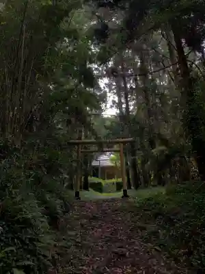 安房大杉神社の鳥居