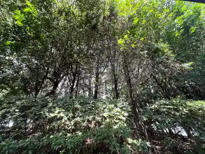 手力雄神社(岐阜県)
