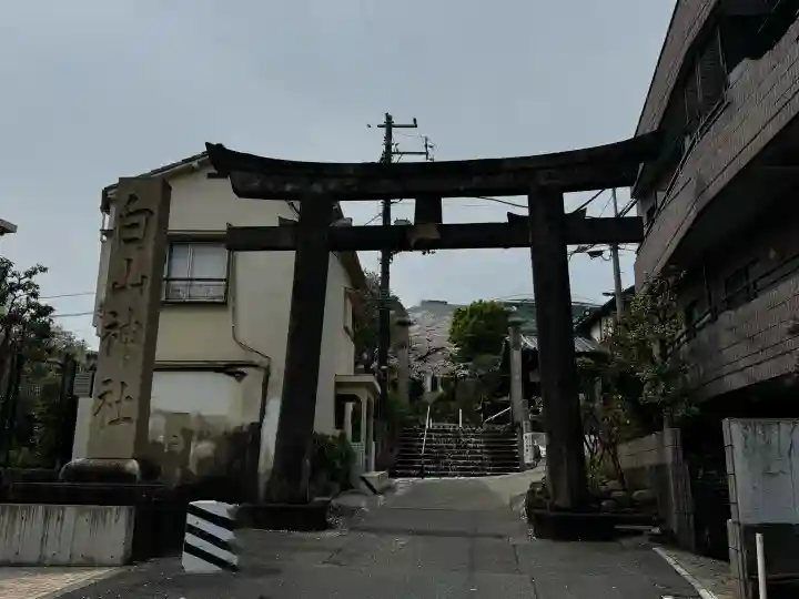 白山神社の{uncategorized: "未分類", other: "その他", undefined: "問題あり", building: "その他建物", grave: "お墓", sacred_gate: "鳥居", guardian: "狛犬", statue: "像", buddha: "仏像", history: "歴史", nature: "自然", garden: "庭園", animal: "動物", pagoda: "塔", temizu: "手水舎", mountain_gate: "山門・神門", sanctuary: "本殿・本堂", subordinate: "末社・摂社", art: "芸術", scenery: "景色", jizo: "地蔵", ema: "絵馬", goshuin: "御朱印", omikuji: "おみくじ", items: "授与品その他", amulet: "お守り", goshuincho: "御朱印帳", eats: "食事", festival: "お祭り", votive_dance: "神楽", shichigosan: "七五三参", wedding: "結婚式", experience: "体験その他", initially: "初詣", around: "周辺", anti_infection: "感染症対策"}