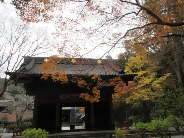 妙本寺の山門・神門