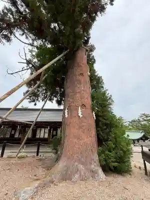 吉備津彦神社(岡山県)