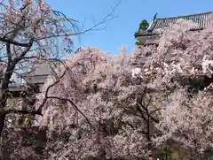 眞田神社(長野県)