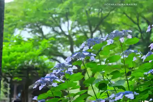 妙本寺(神奈川県)