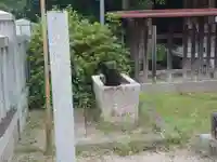 大鳥美波比神社(大鳥大社境内摂社)の動物